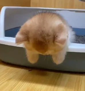 😣