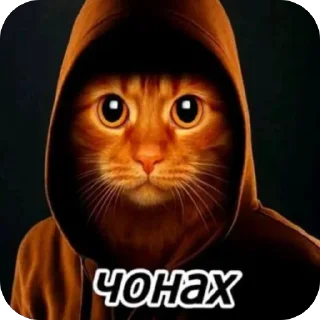 🫥