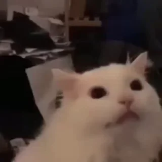 😱