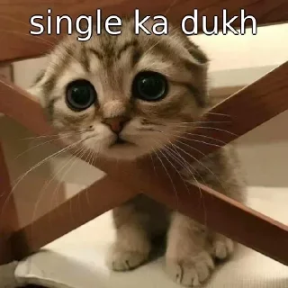 🥺