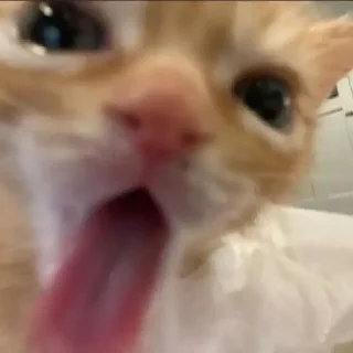 🥵