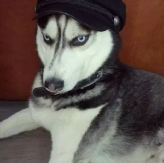 🤠