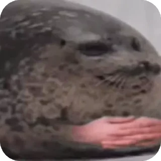 😐