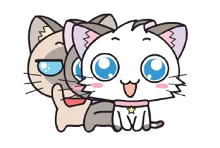 Hoshi & Luna Diary @fixfox