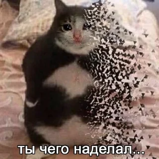 🦠
