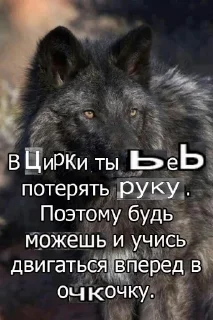 🐺