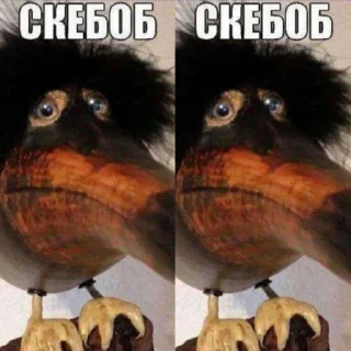 👀
