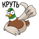 👍