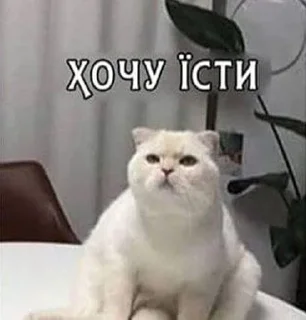 😢