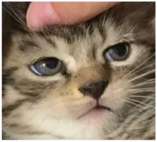 😐