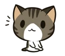 🐱