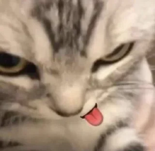 😜