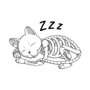 😴