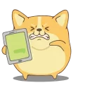📲