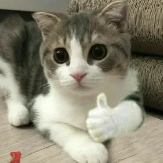 👍