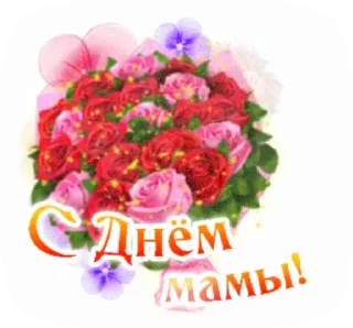 🌺