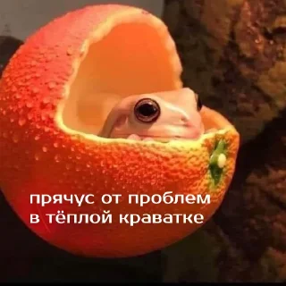 🛏