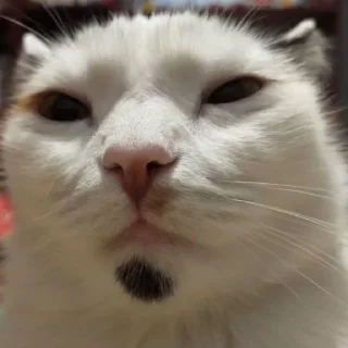 😗