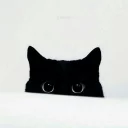 😶