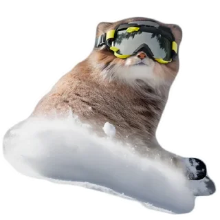 🎿
