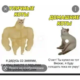 Приколы