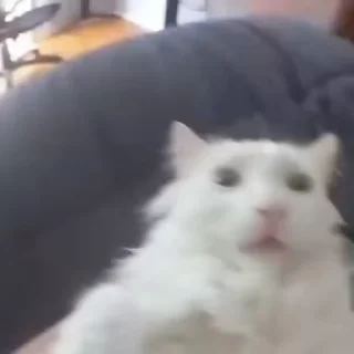 😵‍💫