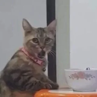 🤯