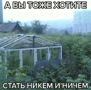 🧂
