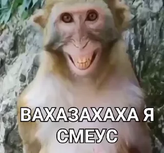 🤩