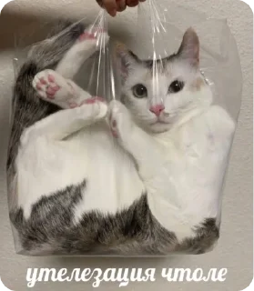 ♻️