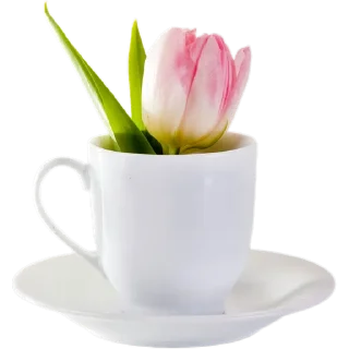☕️