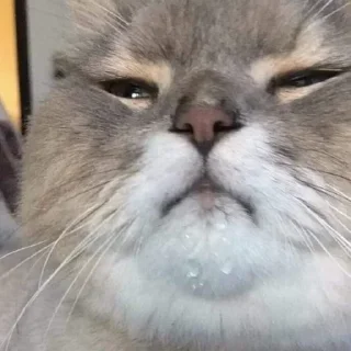 😑
