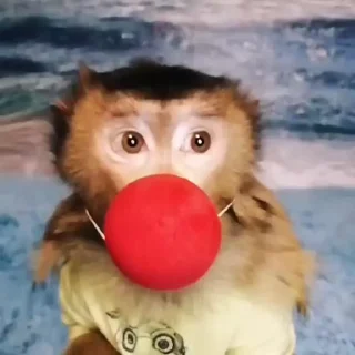 🤡