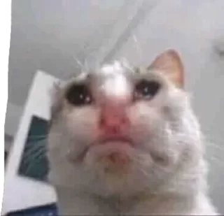 😭