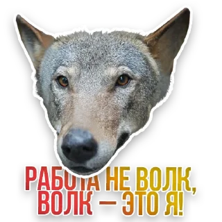 🐺