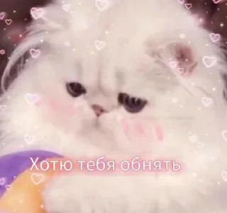 🥺