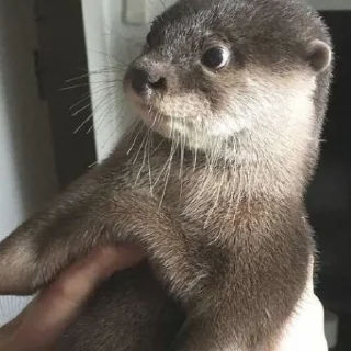 😳