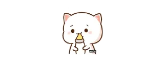 🍼