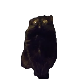 😰