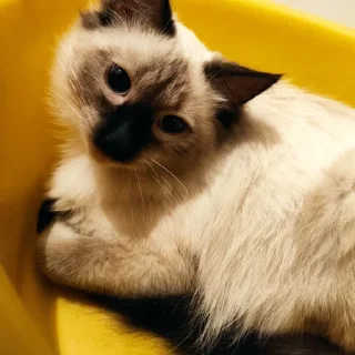 😃