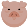 Mr.Pigus
