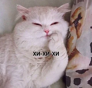 шмяк