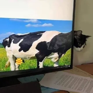 🐄