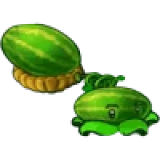 🍉
