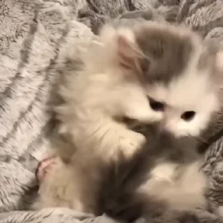 😋