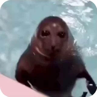 🤯