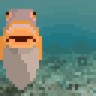 🐟