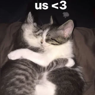💋