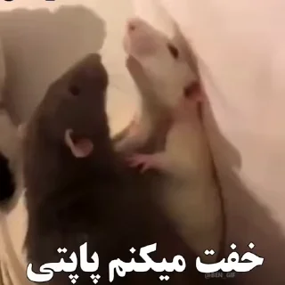 😃