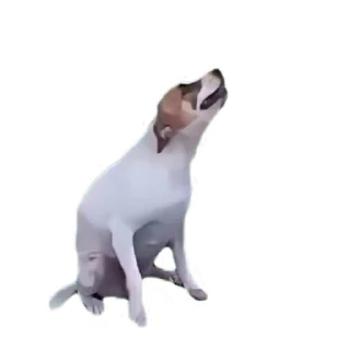 🥳